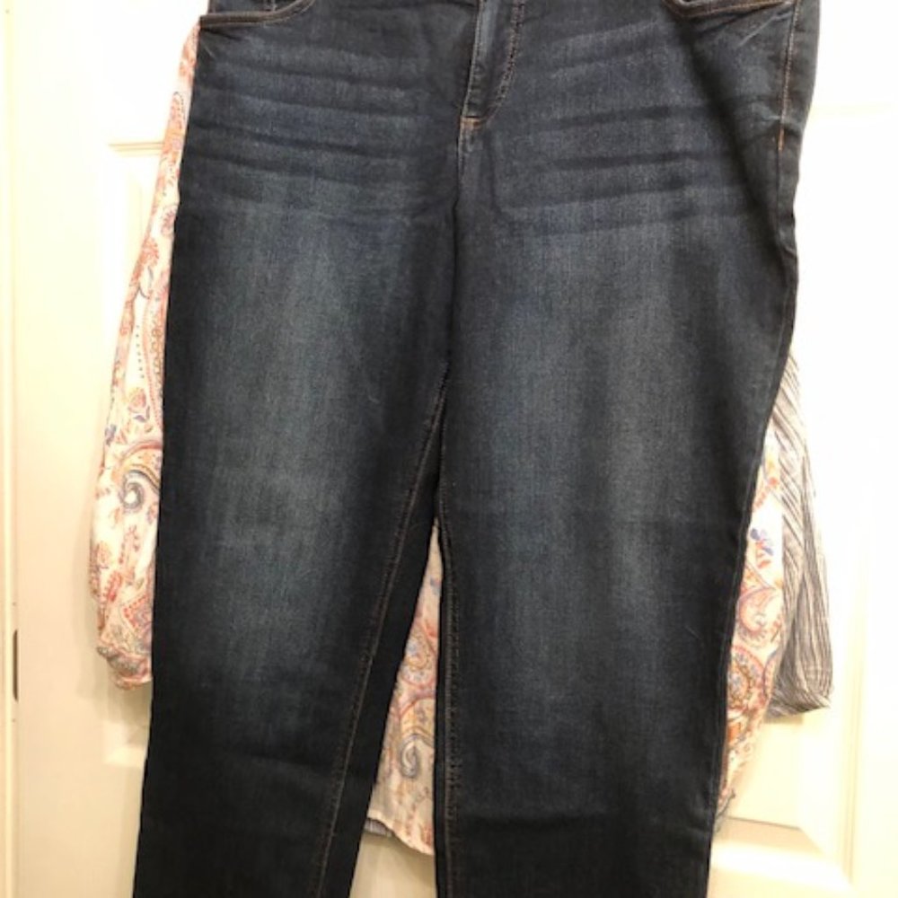 Terra & Sky Jeans 14WP NWOT
